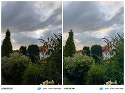 Collage_20240704_204747.jpg