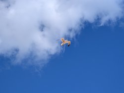 PXL_20240619_144302950.jpg