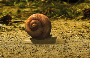 1720194901846.png