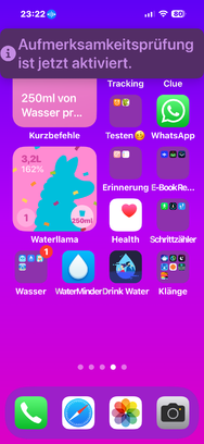 IMG_0883.png