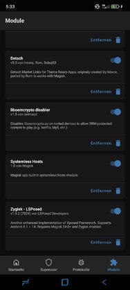 Screenshot_2024-07-06-05-33-32-165_com.topjohnwu.magisk.jpg