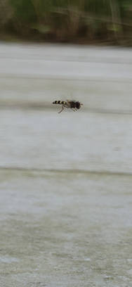 Screenshot_20240706-094242.png