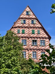 IMG_20240706_105651.jpg