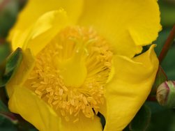 IMG_20240706_142002.jpg