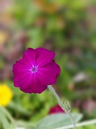 IMG_20240706_141801.jpg