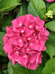 IMG_20240706_141704.jpg