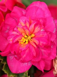 IMG_20240706_141428.jpg