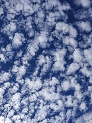 IMG_20240706_101959.jpg