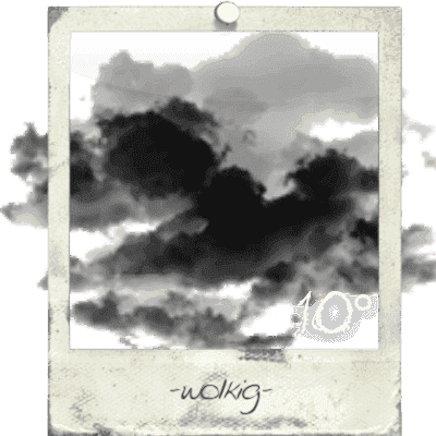 Polaroid roughb.png