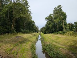 PXL_20240706_154709790.jpg