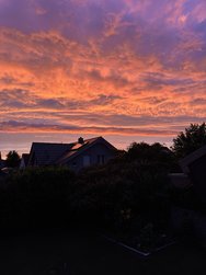 IMG_0548.jpeg