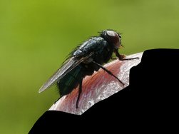 IMG_20240707_183305.jpg