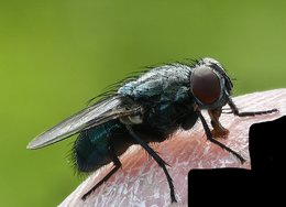 IMG_20240707_183205.jpg