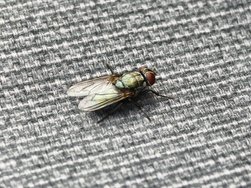 IMG_20240707_164042.jpg