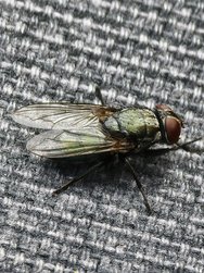 IMG_20240707_163944.jpg
