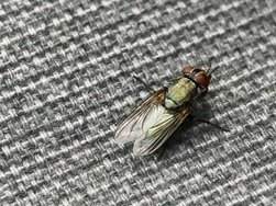 IMG_20240707_164059.jpg