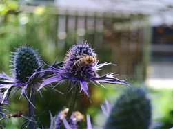 IMG_20240707_135059.jpg