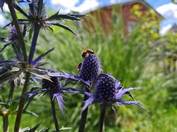 IMG_20240707_135331.jpg