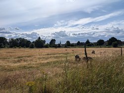 PXL_20240707_150902205.jpg