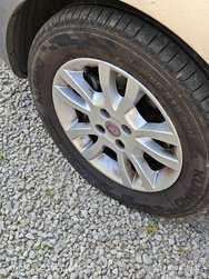IMG_20240708_160735.jpg