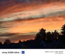 IMG_20240709_051453.jpg