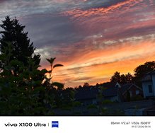 IMG_20240709_051433.jpg