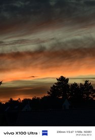 IMG_20240709_051230.jpg