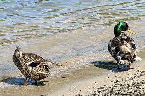 IMG_20240709_161930.jpg