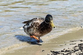 IMG_20240709_161819.jpg