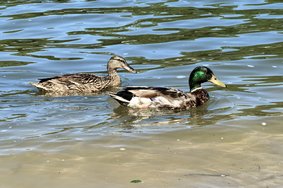 IMG_20240709_162016.jpg
