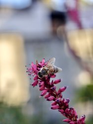 IMG_20240709_075338.jpg