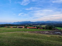 IMG_20240709_191354.jpg