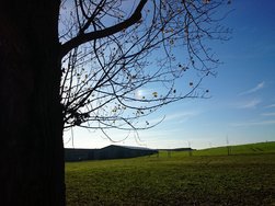 20141101_142957.JPG