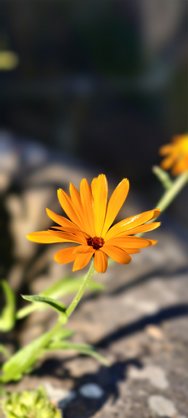 IMG_20240709_190645.jpg
