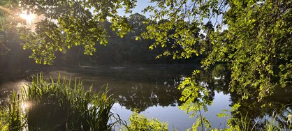 IMG_20240709_200800.jpg