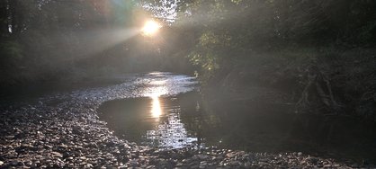 IMG_20240709_202015.jpg