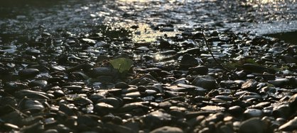 IMG_20240709_202237.jpg