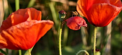 IMG_20240709_204907.jpg