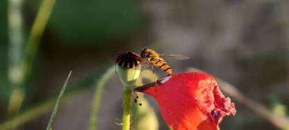 IMG_20240709_204921.jpg