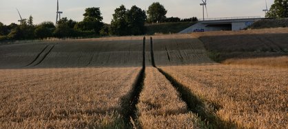 IMG_20240709_205441.jpg