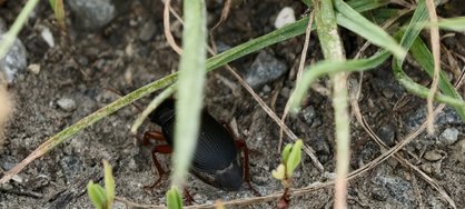 IMG_20240709_210047.jpg