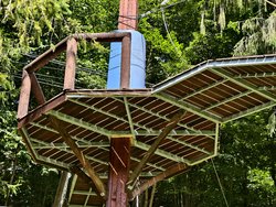 IMG_20240710_152132.jpg