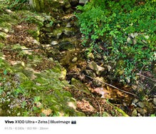 sukashi_20240710_165736.jpg