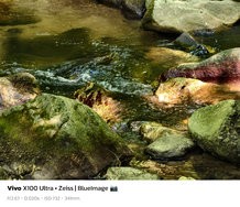 sukashi_20240710_165724.jpg