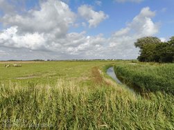 IMG_20240711_165316101.jpg
