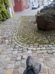 PXL_20240712_041815028.jpg