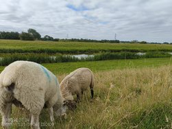 IMG_20240712_095202551.jpg