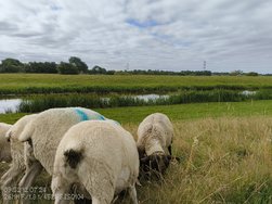 IMG_20240712_095207343.jpg