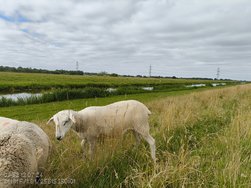 IMG_20240712_095209477.jpg