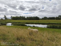 IMG_20240712_095236122.jpg